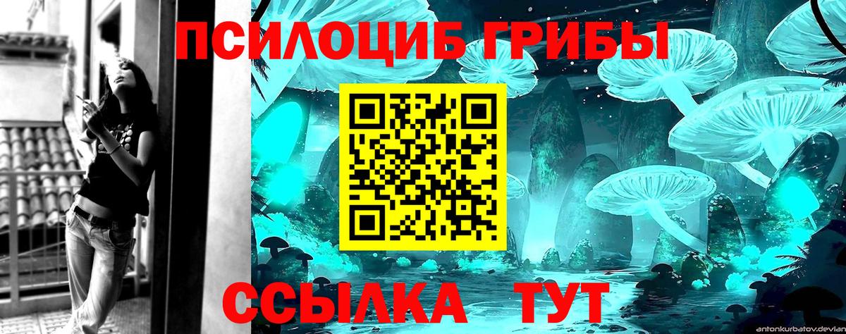 Псилоцибиновые грибы мухоморы Елец