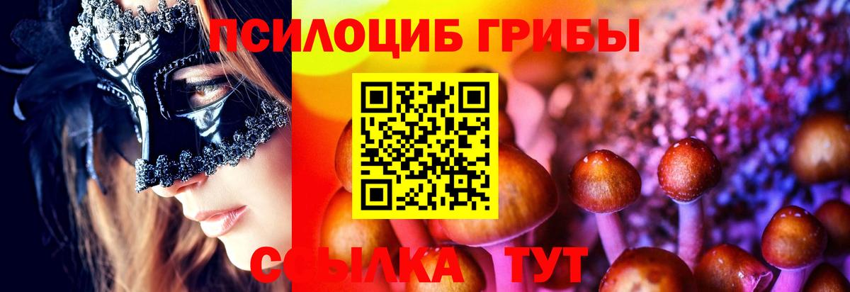 Псилоцибиновые грибы прущие грибы  Вход с VPN  Елец  Псилоцибиновые грибы Cubensis 